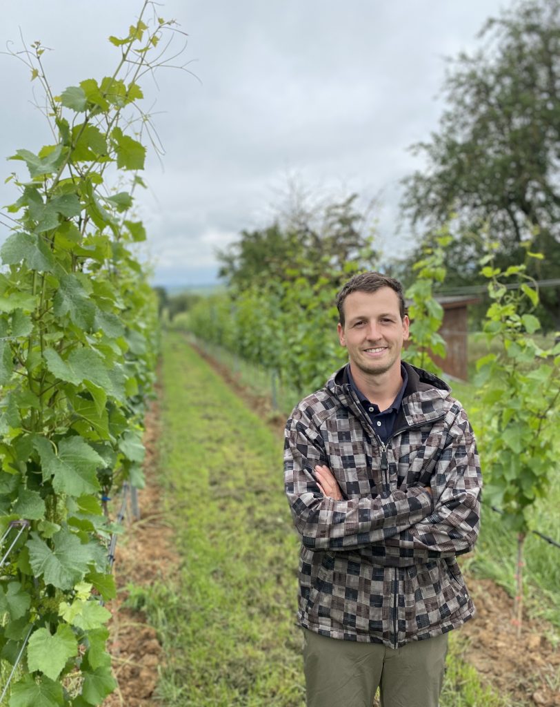 vollernter talheim weinbau lucas duerr