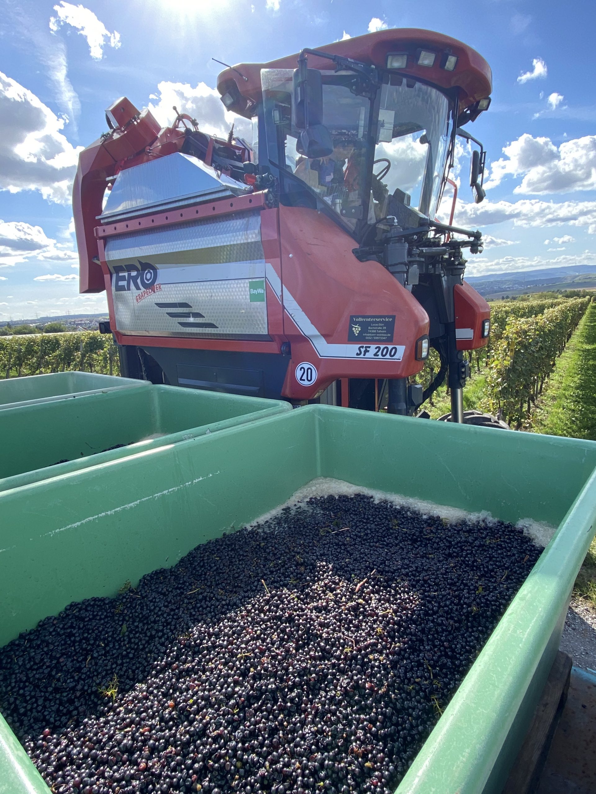 Vollernterservice Weinbau Lucas Dürr